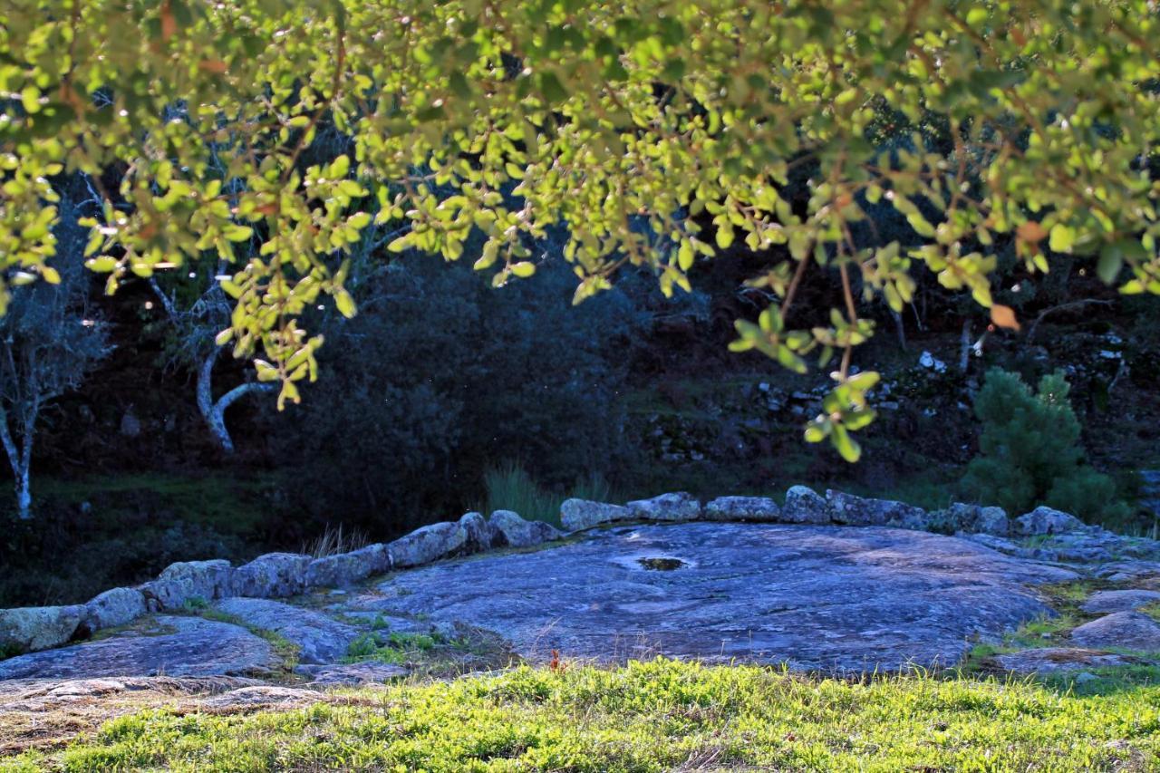 Quinta Da Utopia Каштелу-ди-Види Экстерьер фото