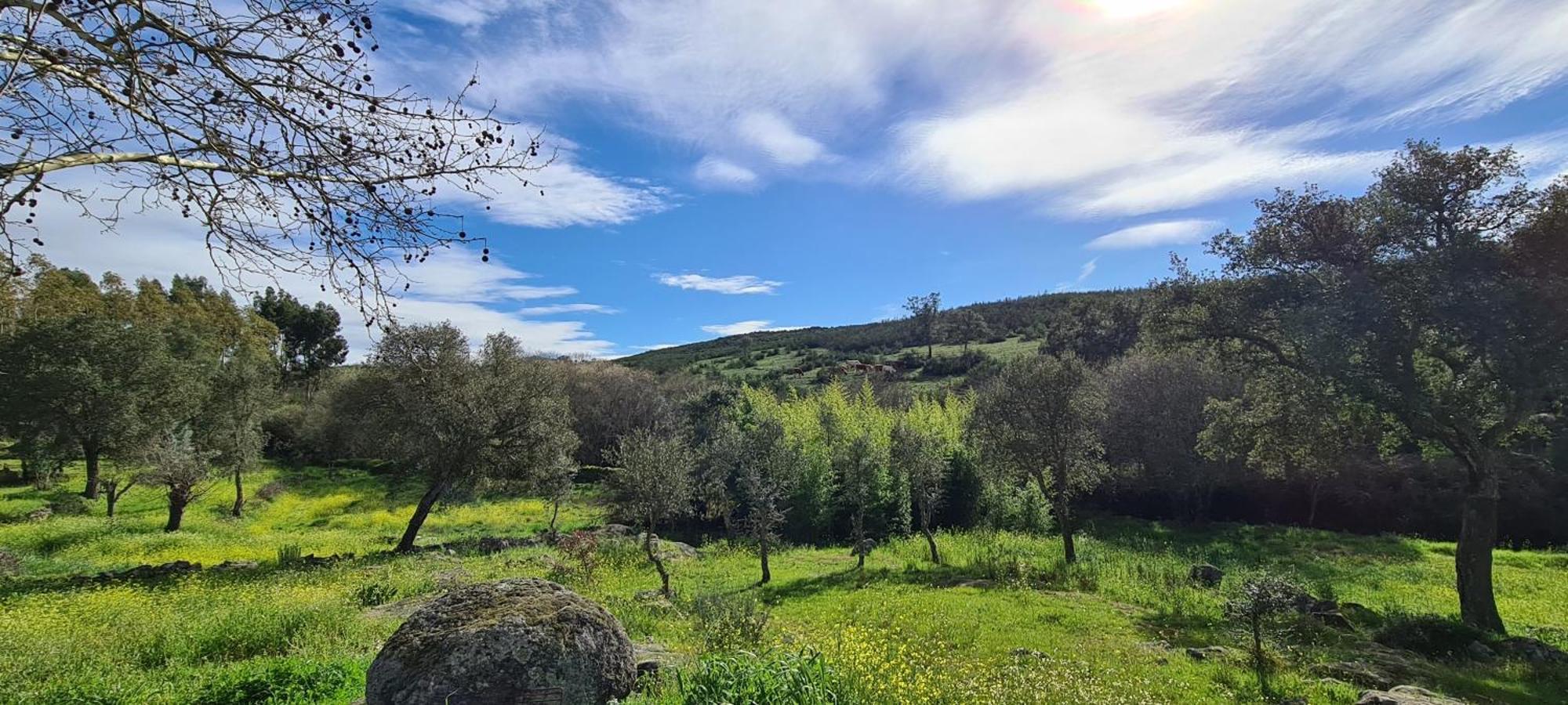 Quinta Da Utopia Каштелу-ди-Види Экстерьер фото